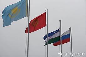 флаги ШОС|Фото:Накануне.RU