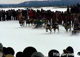 Фото: Накануне.ru