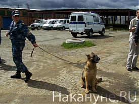 Фото:  Накануне.RU