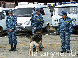 Фото:  Накануне.RU