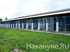 Фото:  Накануне.RU