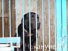 Фото:  Накануне.RU