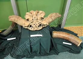 Фото: администрация надымского района