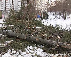 улица серафимы дерябиной митинг протест палаточный городок детская площадка|Фото:Накануне.RU