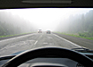 туман дорога|Фото: Накануне.ru