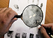 криминал отпечаток пальцев лупа | Фото: АНДРЕЙ ЗАМАХИН www.itogi.ru