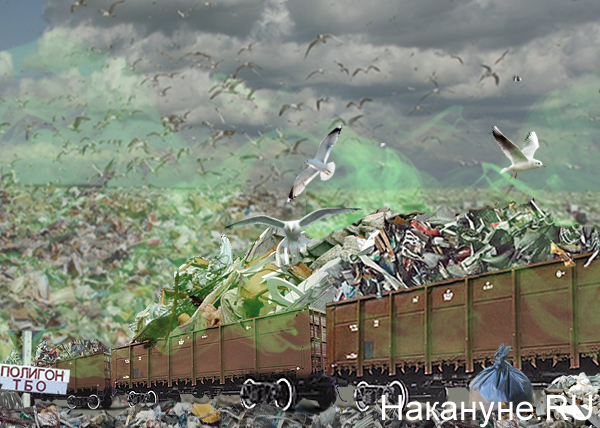 коллаж, мусор, вагоны, полигон ТБО|Фото: Накануне.RU